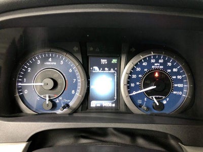 2019 Toyota Sienna XLE 8 Passenger