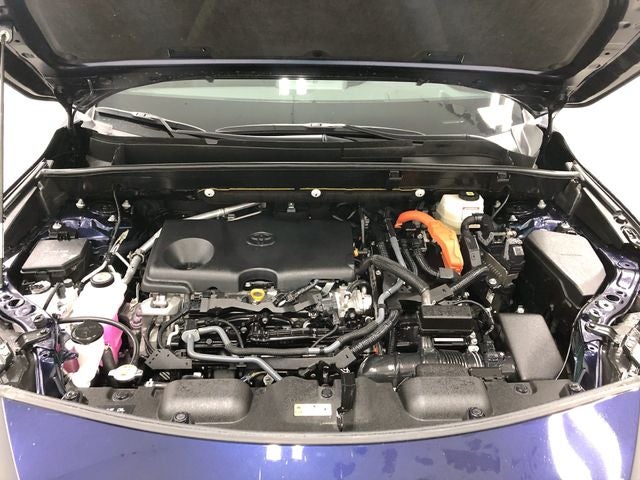 2024 Toyota Venza Limited
