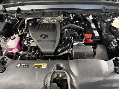 2025 Lexus TX TX 350