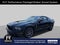 2011 Ford Mustang Shelby GT500