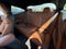 2022 BMW M4 Base