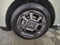2025 Kia Carnival Hybrid EX