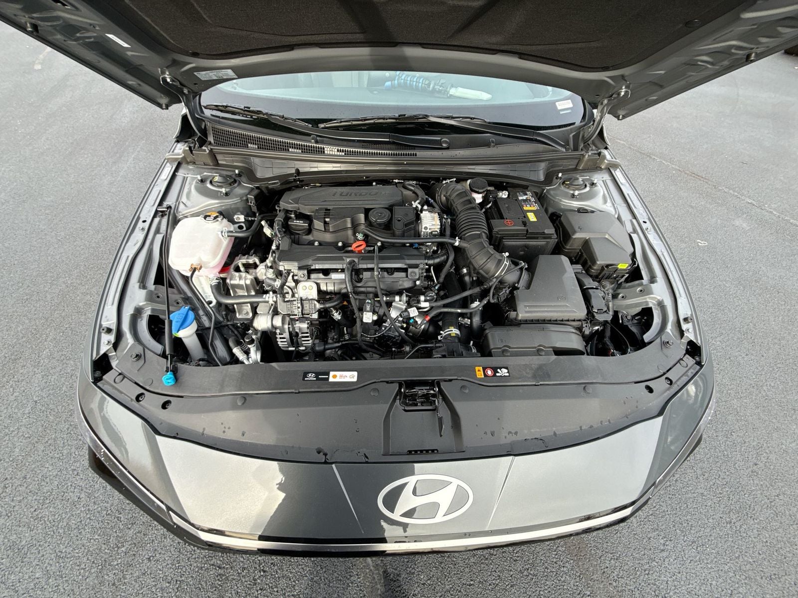 2026 Hyundai Elantra N Line