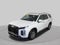 2024 Hyundai Palisade SEL 7P