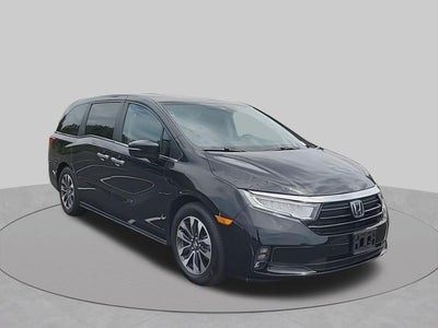 2024 Honda Odyssey EX-L