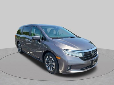 2024 Honda Odyssey EX-L