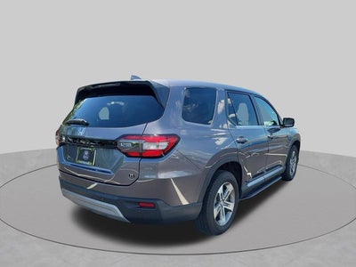 2024 Honda Pilot EX-L 8 Passenger