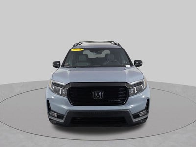 2024 Honda Passport Black Edition